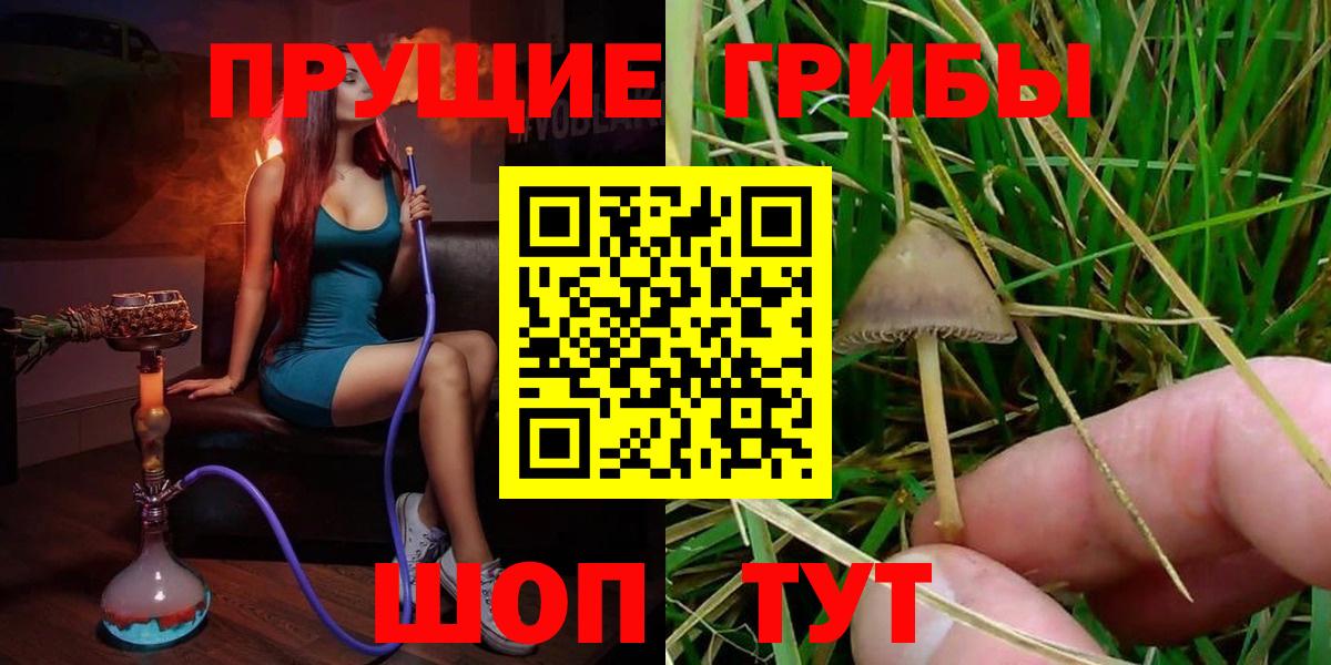 Галлюциногенные грибы мицелий  Вход с VPN  Нефтеюганск  наркошоп  Псилоцибиновые грибы GOLDEN TEACHER 