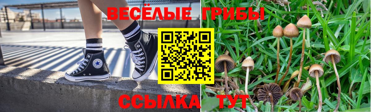 Галлюциногенные грибы мухоморы Нефтеюганск